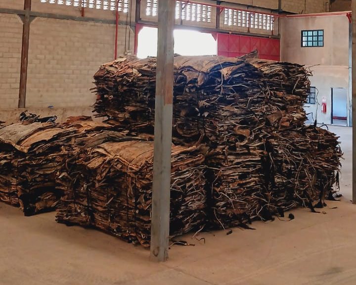 Dry salted hides, sorted by size and selection.
